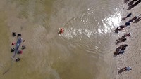 Tim BKSDA kesulitan mengevakuasi satwa itu hingga ke Teluk Kendari dan harus mendorong sekitar lima kilometer.