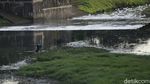 Banjir Kanal Timur di Awal Tahun Penuh Busa Limbah