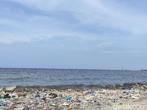 Teluk Jakarta Dilaporkan Ketambahan Sampah Medis, Begini Kondisi Terkini