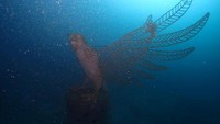 Restorasi terumbu karang ini merupakan bagian dari program  Direktorat Jenderal Pengelolaan Ruang Laut (Ditjen PRL), Kementerian Kelautan dan Perikanan (KKP). Struktur tersebut membentuk cluster-cluster yang diharapkan memperkaya ekosistem bawah laut dan mampu menjadi daya tarik wisata ke depan. Foto: Kementerian Kelautan dan Perikanan