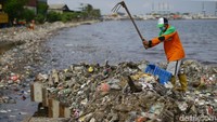Akibatnya, sampah akan terakumulasi di sisi timur Teluk Jakarta dan terdampar di pesisir pantai. 