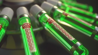 Virus Corona Baru Ditemukan di Brasil, Ancaman Baru bagi Manusia?