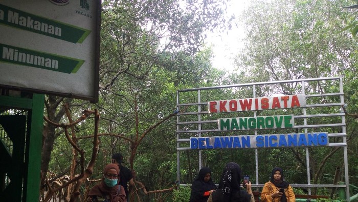 Ekowisata Manggrove Belawan Sicanang, Medan, ramai pengunjung di liburan tahun baru.