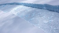 Lembaga Survei Antartika Inggris menyatakan akan melakukan riset untuk mengamati dampak dari gunung es yang mengapung ini terhadap kehidupan satwa liar di pulau sub Antartika. Corporal Phil Dye/Ministry of Defence via AP.