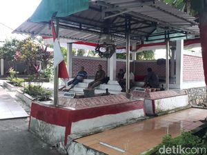 Kisah Tragis Hewan Peliharaan Ibu Selamatkan Gajah Mada Kecil dari Ular Besar