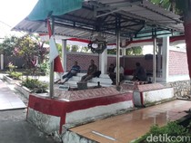 Kisah Tragis Hewan Peliharaan Ibu Selamatkan Gajah Mada Kecil dari Ular Besar