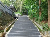 7 Hal yang Harus Kamu Ketahui Sebelum Bangun Rumah di Lahan Miring