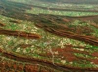 Foto Bumi dari antariksa