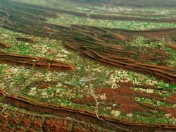 10 Foto Terbaik Bumi Tahun 2020 Dipotret dari Antariksa