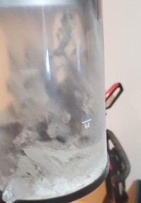 Foto Kamuflase hewan