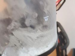 Tes Kejelian Mata: Carilah Hewan Tersembunyi dalam Foto