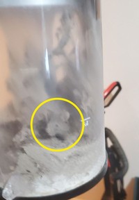Foto Kamuflase hewan