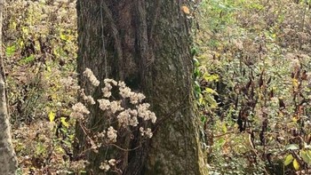 Nah kalau di foto ini, di mana kebaradaan tikus? Foto: Reddit
