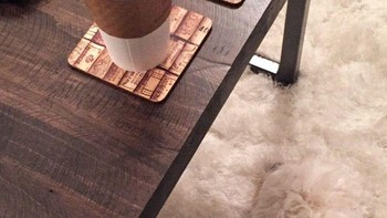 Ada yang bisa mencari posisi anjing di foto ini? Foto: Reddit