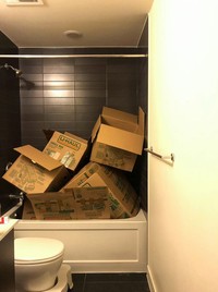 Foto Kamuflase hewan