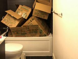 Tes Kejelian Mata: Carilah Hewan Tersembunyi dalam Foto