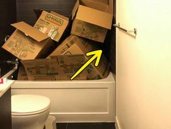 Tes Kejelian Mata: Carilah Hewan Tersembunyi dalam Foto