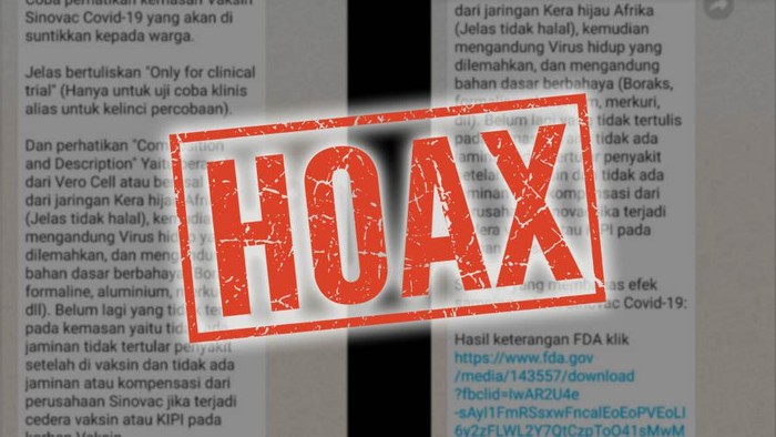 hoax vaksin corona mengandung sel vero