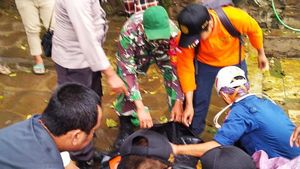 Jatuh ke Jurang, Seorang Pendaki Gunung Rinjani Ditemukan Tewas