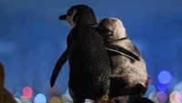 Mereka kedapatan saling menguatkan satu sama lain dengan cara saling berpelukan. Mereka berpelukan sambil melihat pemandangan indah lampu kota Melbourne saat malam. Mereka biasa melakukan hal itu selama berjam-jam.  (dok. Thomas Baumgaertner)