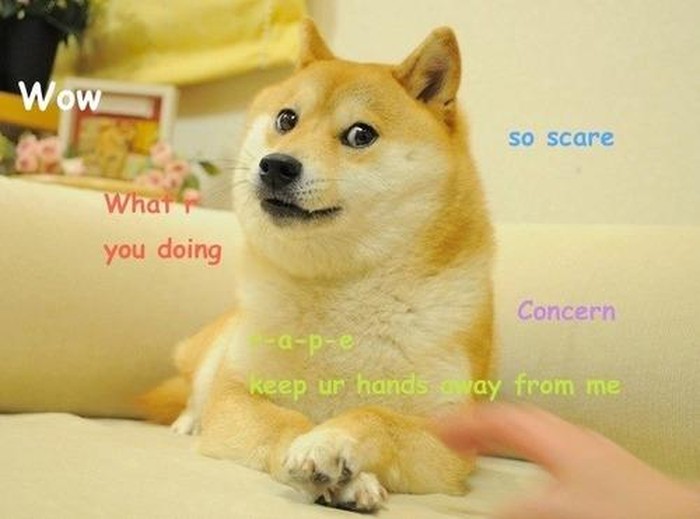 Meme Anjing Doge