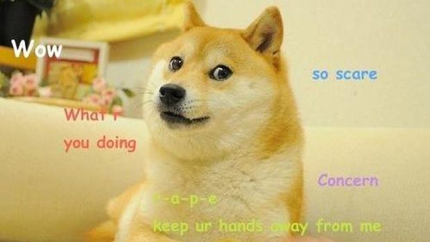 Meme Anjing Doge