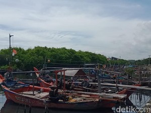 Cuaca Ekstrem, Nelayan Cirebon Pilih Jadi Kuli dan Cari Kerang Hijau