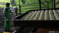 Menurutnya, Tahu Cibuntu didistribusikan ke Jabotabek dengan produksi setiap harinya mencapai 3 ton. Karena ada kenaikan harga, hari ini pihaknya baru memproduksi 1 ton.