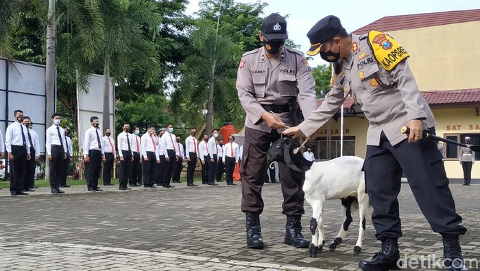 polres pacitan