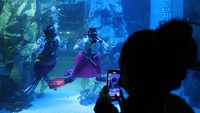 Akuarium tersebut memiliki tangki air seberat 2.200 ton yang merupakan terbesar di Korea Selatan yang dijuluki dengan The Ocean atau Samudra.