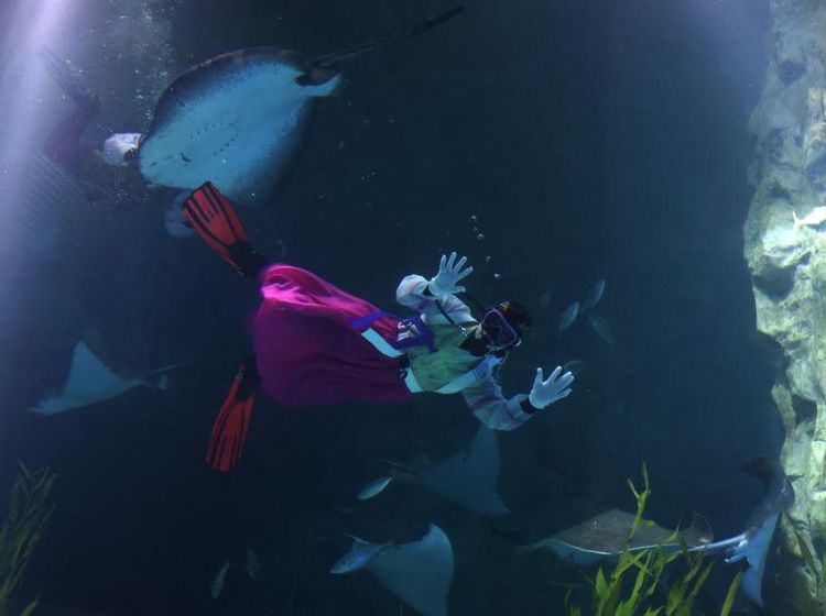 Rayakan Tahun Baru, Penyelam di Korsel Pakai Baju Tradisional