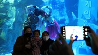 Aksi para penyelam ini untuk menarik minat para pengunjung.