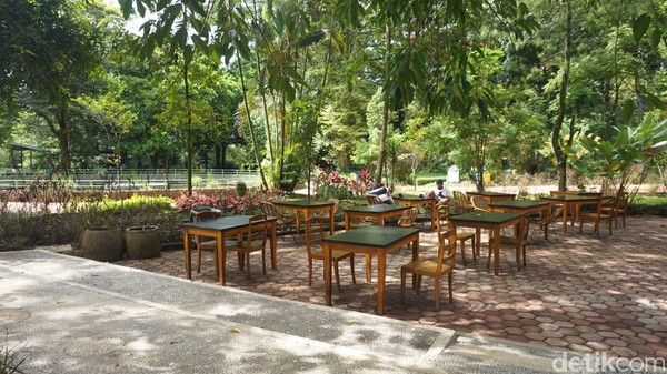 Ada pemandangan tak biasa saat berkunjung ke Kebun Binatang Bandung (Bazoga) saat memasuki tahun baru ini. Di sana, pengunjung berkesempatan untuk menikmati makanan di Simba Resto sambil melihat singa di kandang terbuka. Ada pemandangan tak biasa saat berkunjung ke Kebun Binatang Bandung (Bazoga) saat memasuki tahun baru ini. Di sana, pengunjung berkesempatan untuk menikmati makanan di Simba Resto sambil melihat singa di kandang terbuka.
