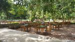 Berani Coba? Restoran Ini Suguhkan Sensasi Makan di Depan Kandang Singa