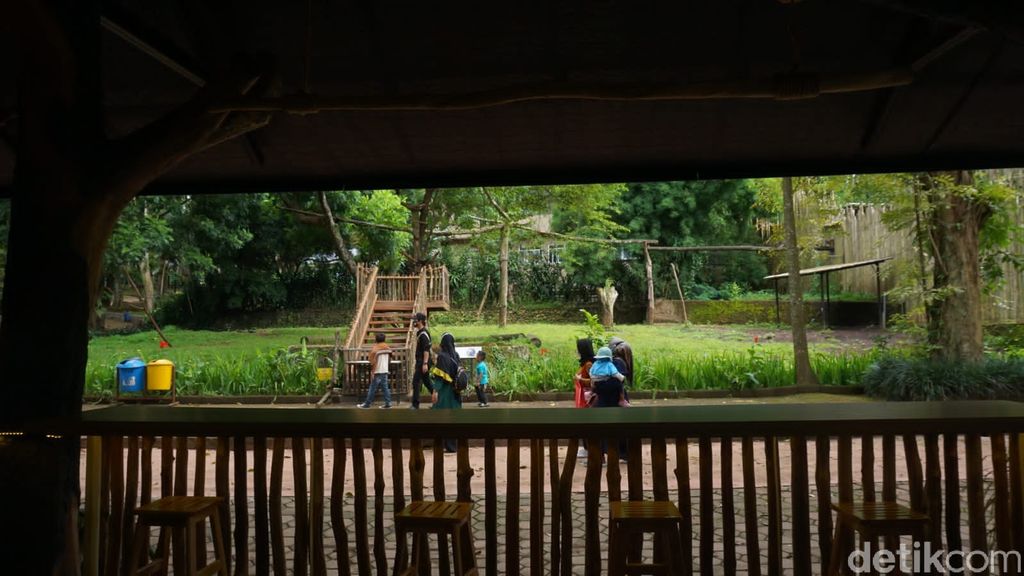 Ada pemandangan tak biasa saat berkunjung ke Kebun Binatang Bandung (Bazoga) saat memasuki tahun baru ini. Di sana, pengunjung berkesempatan untuk menikmati makanan di Simba Resto sambil melihat Singa di kandang terbuka.