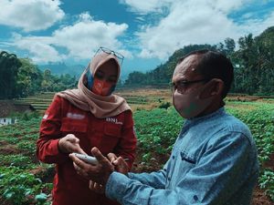 Uji Coba Smart Farming BNI Ditebar di 5 Provinsi