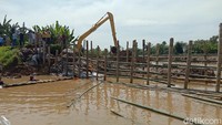 Kepala Bidang Operasi dan Pemeliharaan pada BBWS Pemali – Juana, Dina Noviandriana mengatakan banyak warga yang memanfaatkan sepadan sungai untuk kegiatan bersawah. Padahal kata dia sudah ada undang – undang yang mengatur terkait pemanfaatan sepadan sungai bisa dipidanakan. Dian Utoro Aji/detikcom