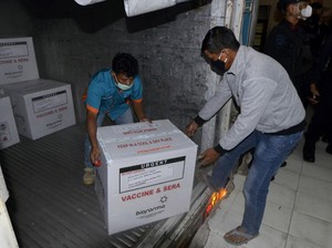 Vaksin Sinovac Sudah Disebar, MUI: Kehalalannya Sedang Diteliti
