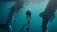 Bagaimana traveler, jadi makin ngebet liburan ke Berau? (HvTrip/Istimewa)