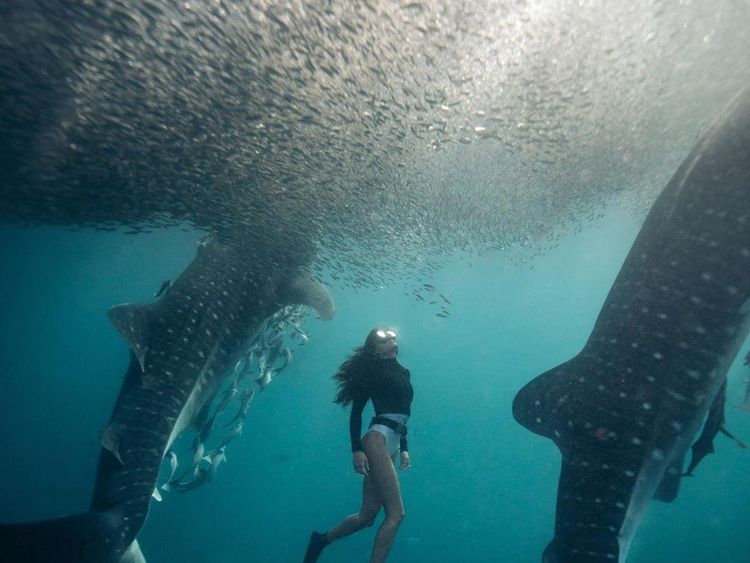 Potret Wisata Berau yang Bikin Kamu Ngebet Liburan