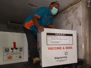 31 Ribu Vaksin Corona Sinovac Tiba di Bali