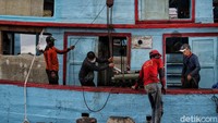 Menurut keterangan para nelayan, saat ini tangkapan ikan menurun karena faktor cuaca buruk yang tidak menentu.