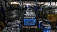 Pada bulan Desember kemarin, para nelayan hanya mendapatkan Rp 2-3 juta dan itu harus dibagikan kepada anak buah kapal yang berjumlah 10-20 orang. Biasanya jika tangkapan ikan banyak, satu kru kapal nelayan bisa mendapatkan Rp 10 juta.