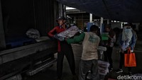 Biasanya TPI Muara Angke menjadi tempat favorit bagi warga untuk mencari ikan segar.