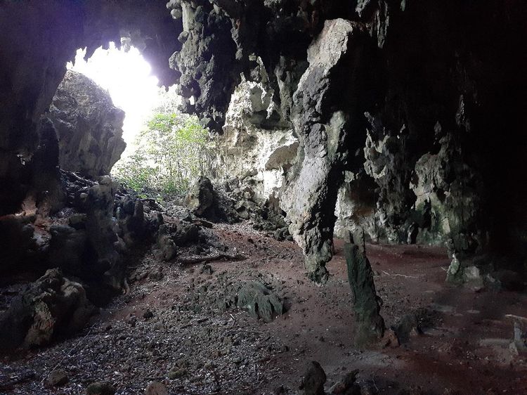 Foto: Gua di Papua dengan Lukisan Alien yang Misterius