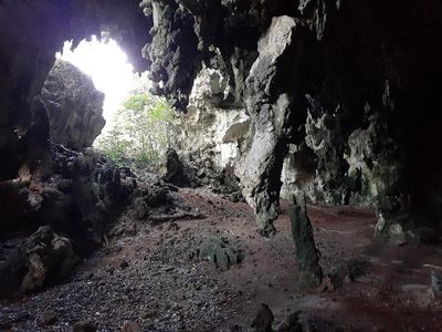 Foto: Gua di Papua dengan Lukisan Alien yang Misterius