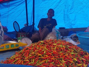 Warga Terbebani Harga Cabai di Polman Meroket