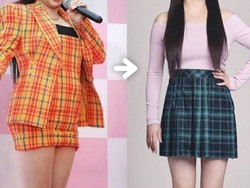 Diet Artis Diet Artis