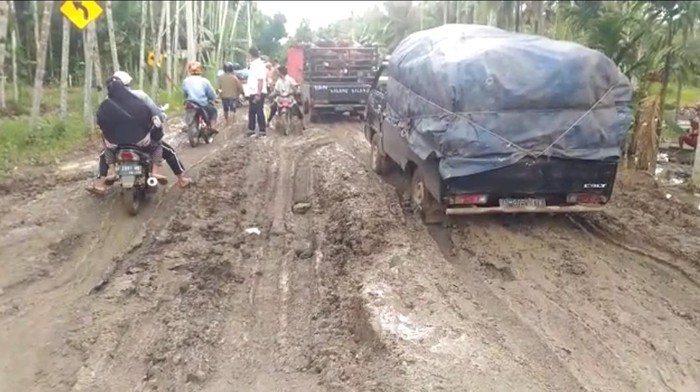 Kondisi kerusakan jalan di Tanjung Jabung Timur (dok. Istimewa)