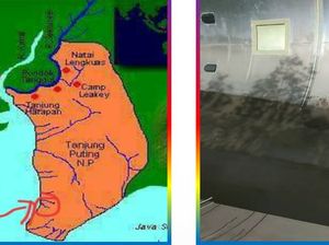 Puing Diduga Badan Pesawat di Kotawaringin Barat Serpihan AirAsia QZ8501?